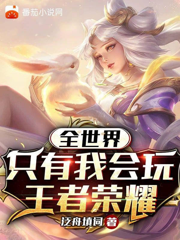 全世界只有我会玩王者荣耀!