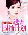 首长请矜持:逃妻围捕计划