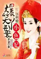 替嫁新娘:爆笑丫鬟小色妃