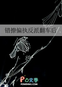 ����ƫִ���ɷ�����