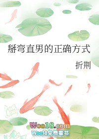 掰弯直男的正确方式(穿越)