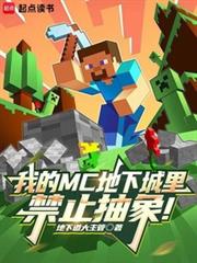 �ҵ�MC���³����ֹ����