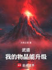 武道,我的物品能升级