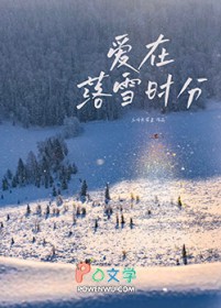 爱在落雪时分