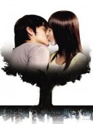 ũ�Ź��ԣ��ø�����������