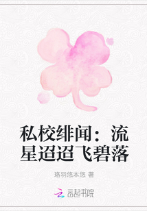 私校绯闻:流星迢迢飞碧落