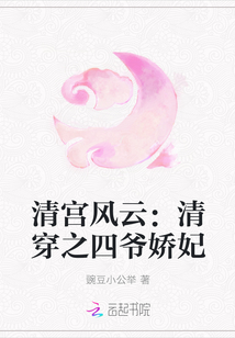 清宫风云:清穿之四爷娇妃
