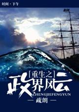 重生之政界风云(疏朗)
