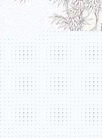 ��¥��֮����