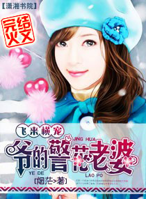 飞来横宠:爷的警花老婆