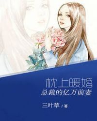 枕上暖婚:总裁的亿万前妻