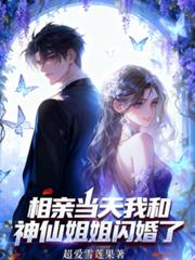 相亲当天我和神仙姐姐闪婚了